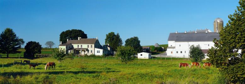 Amish Farm.jpg